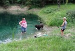pond photo